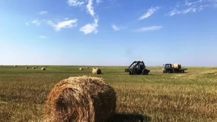 Заготовка кормов в Казахстане выходит на финишную прямую 