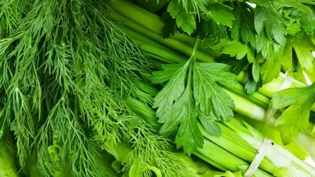 Засушить или заморозить: как заготовить свежую зелень на зиму? 