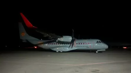 Үржарда 55 жастағы жүргізуші ойнап жүрген 6 баланы қағып, 3 бала қаза тапты