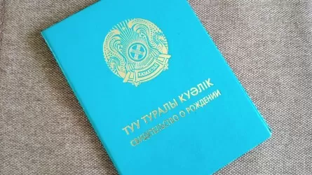 30 лет спустя: суд установил факт рождения взрослого мужчины в Туркестанской области 