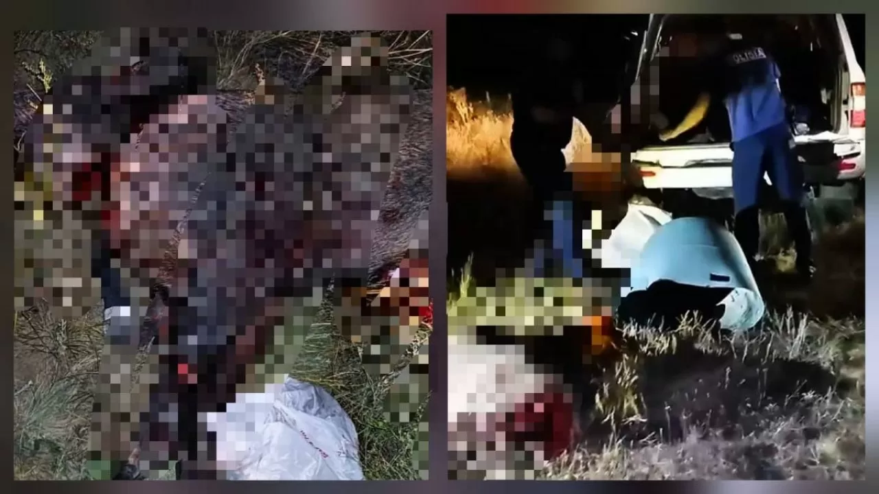 Браконьера с несколькими тушами кабанов задержали в ЗКО  
