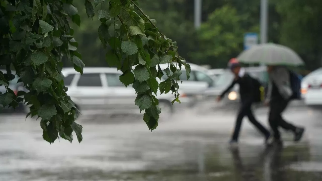 Жаңбыр, найзағай: 23 қыркүйекке арналған ауа райы болжамы