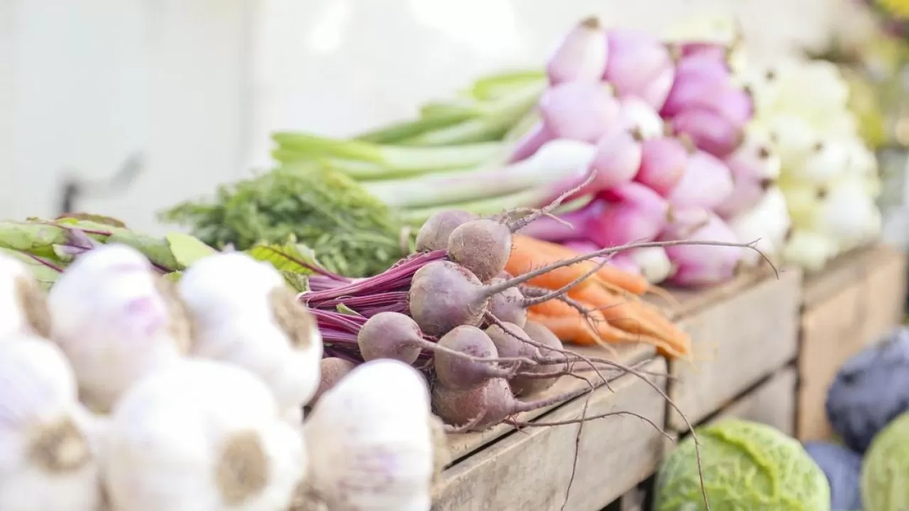 Алматинская область накормит агропродукцией зарубежные страны