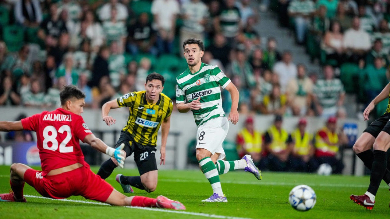 Порно жыртқыш