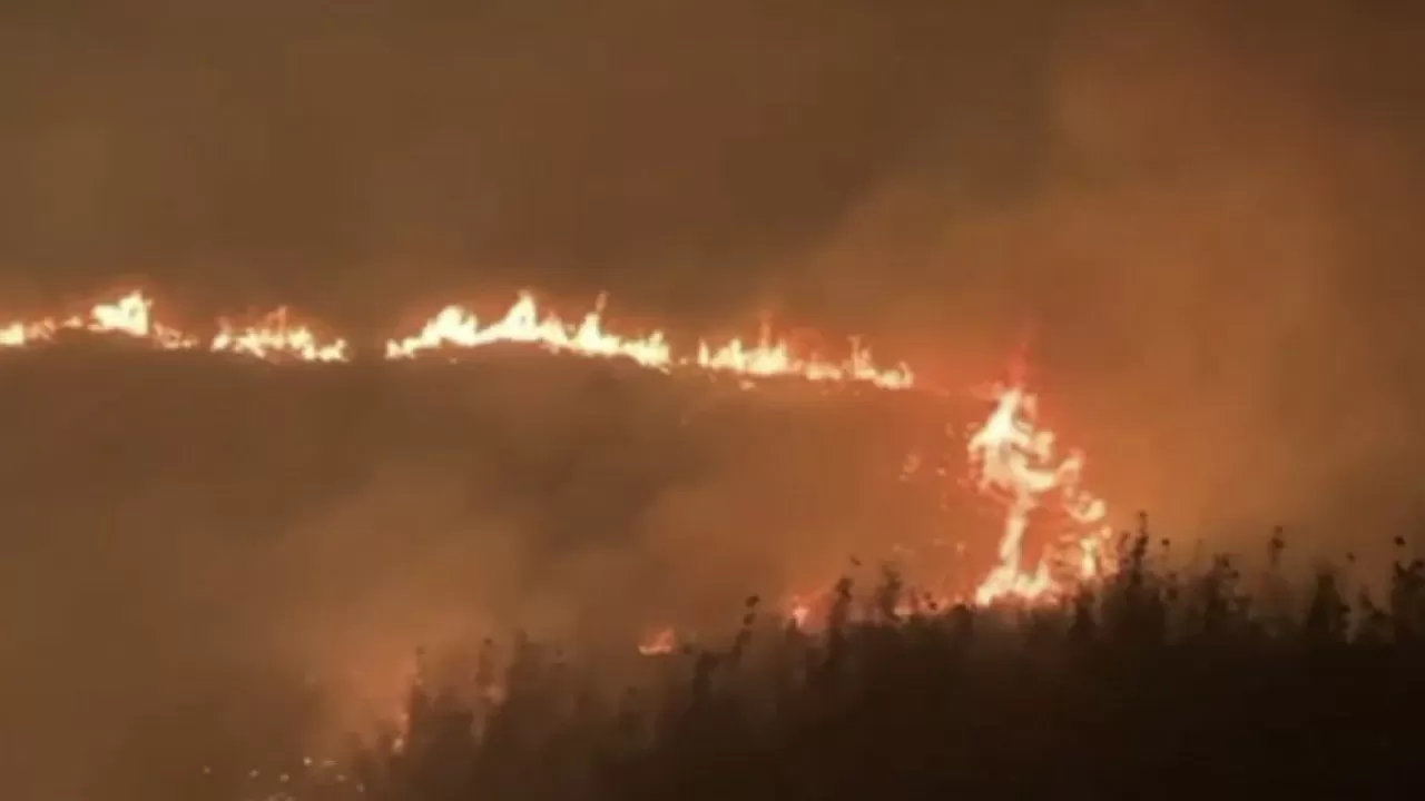 Ақтөбе облысында құрғақ шөп өртенді