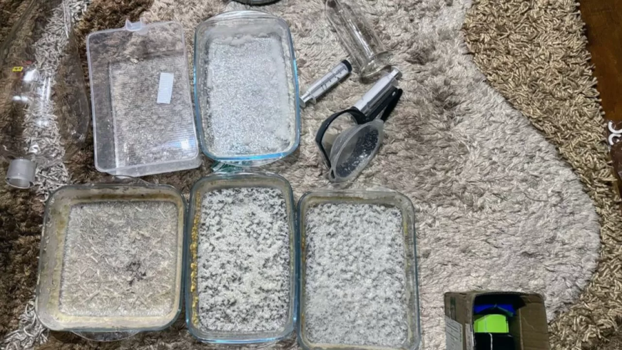 Қазақстанда нашақорлыққа қарсы күрестің жаңа жоспары әзірленеді