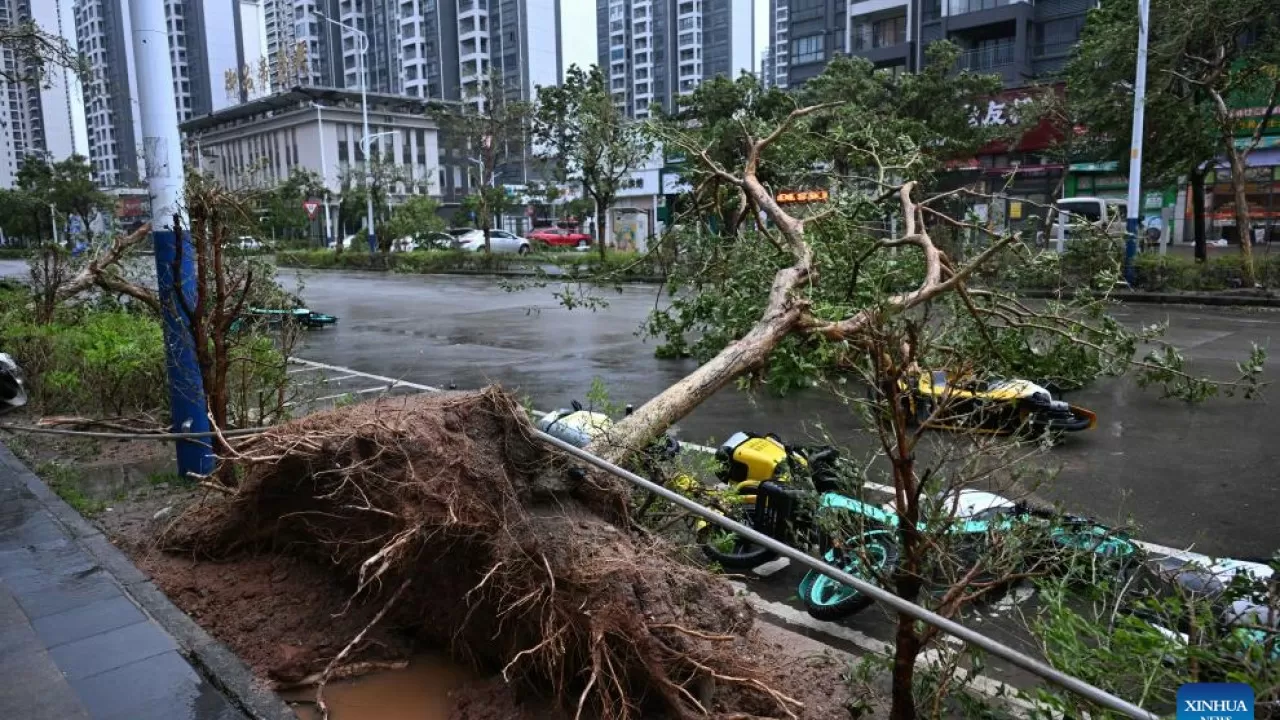 Қытайда 1,89 млн адам тайфуннан қауіпсіз жерге көшірілді