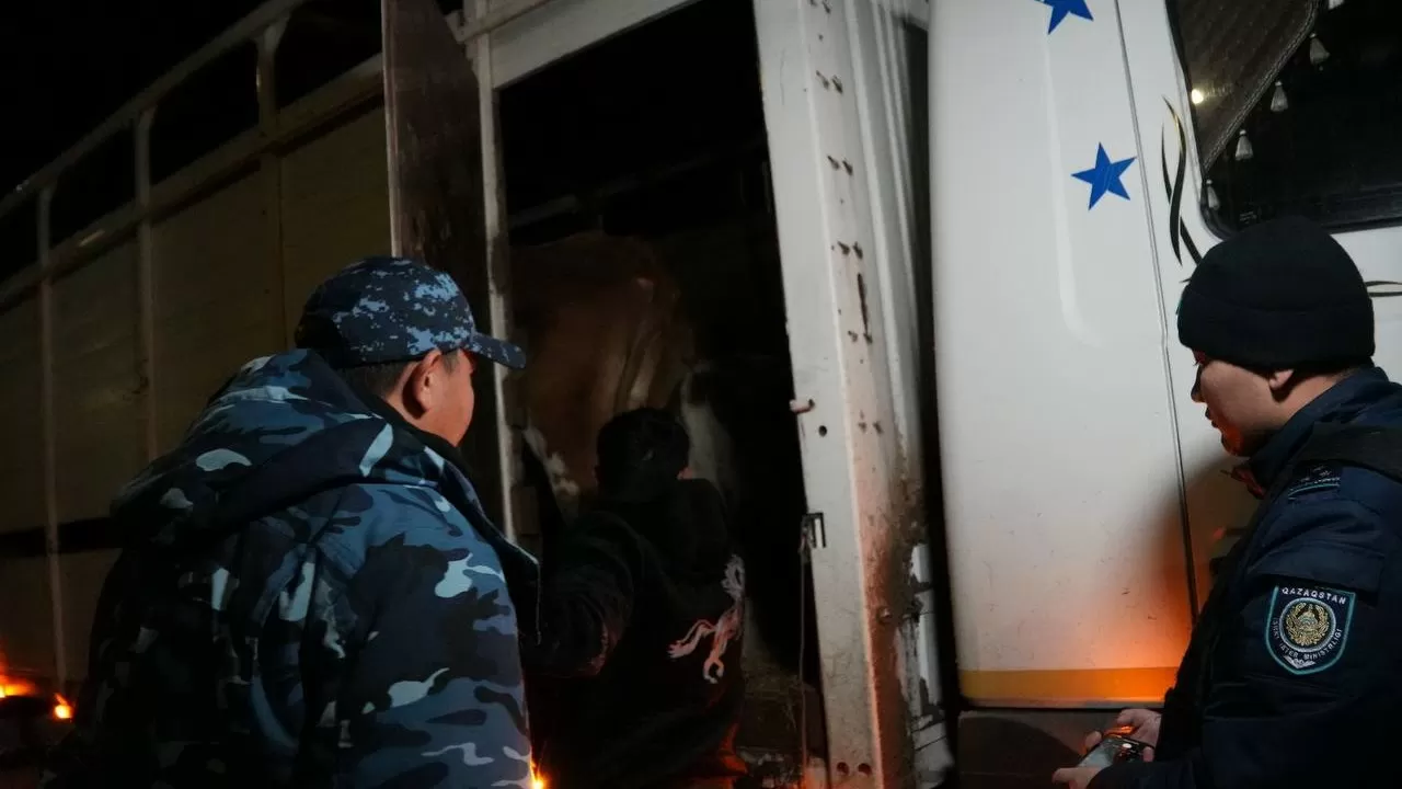Қарағанды облысында мал ұрлығының алдын алу мақсатында мобильді бекеттер қойылды