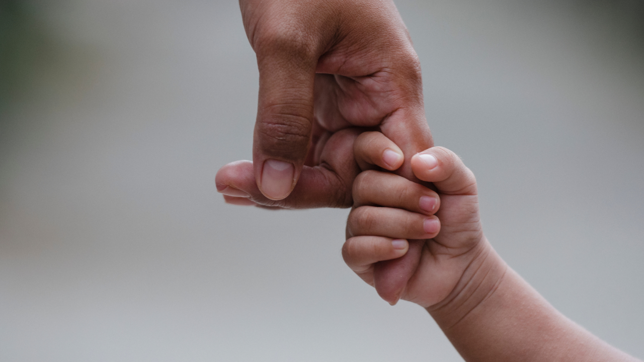 Автобустағы порно