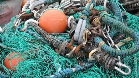 Незаконная рыбалка обернулась годом ограничения свободы для жителя Кызылординской области 