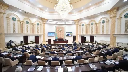 Сенат 30 жыл ішіндегі өзінің міндетін мүмкіндігінше атқарды