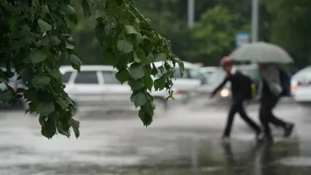 Жаңбыр, найзағай: 23 қыркүйекке арналған ауа райы болжамы