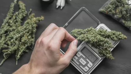 Елімізде бір аптада 750 келіден астам есірткі тәркіленді