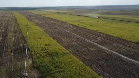 Павлодар облысында ауылшаруашылығы жерлерін заңсыз қазған шаруа айыппұл төледі