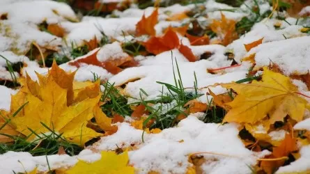 Демалыс күндері ел аумағында қар жауады