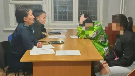 Қарағандыда тұрғын үйдің шатырына әдейі құлайтындай етіп кірпіш қойған жасөспірім ұсталды