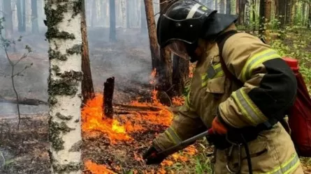 Еліміздің 10 өңірінде әлі де өрт қаупі бар