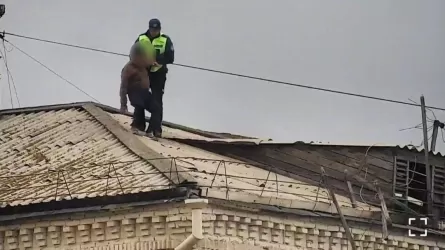 Көкшетауда кілтін жоғалтқан мас адам үйіне шатыр арқылы кірмек болған