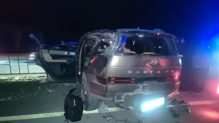 Смертельное ДТП произошло на трассе Астана–Петропавловск