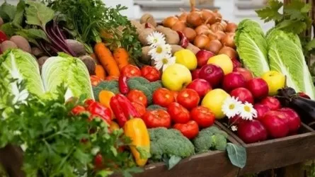 Где и когда в Астане пройдет ярмарка фермеров области Жетысу  
