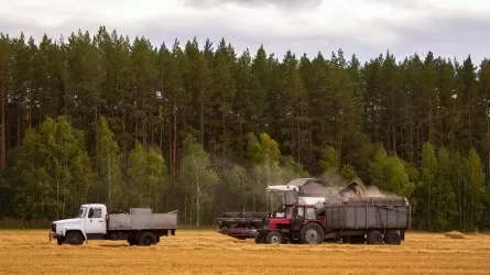 В Казахстане подчитали, сколько уже убрали засеянных площадей