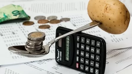 В Казахстане ввели продолжительный бюджетный мораторий 