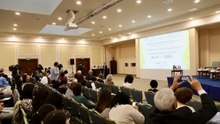 В Астане представили новые подходы к реабилитации детей с инвалидностью 