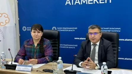 Конфликты бизнеса и власти: что удалось сделать в Костанайской области