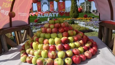 Алматыда қала күніне арналған іс-шараларға жарты миллионнан астам адам қатысты