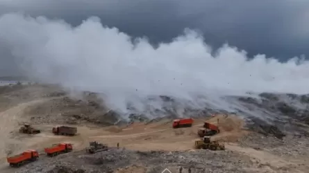 Акимат Алатау накажут за пожар на мусорном полигоне 