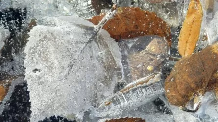 Дожди, грозы и заморозки ожидаются в Казахстане