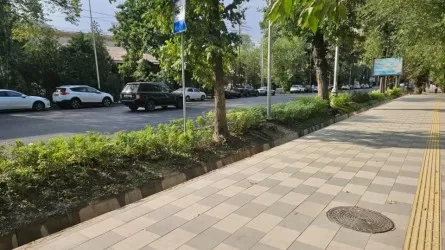 Зеленый щит от шума: как в Алматы озеленяют буферные зоны