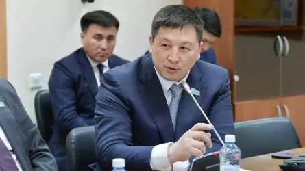 «Сорбұлақ арнасынан асып кетуі мүмкін»: Депутат Алматы облысына төнген қауіп туралы айтты 