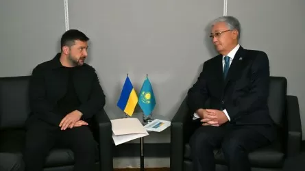  Зеленский изложил Токаеву свой взгляд на ситуацию в Украине