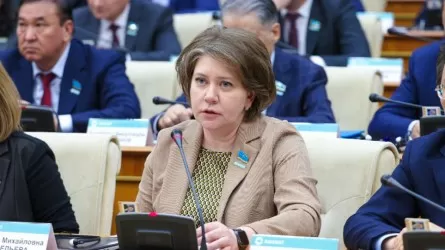 Мәжіліс үш жылдық бюджет жобасын жұмысқа алды 