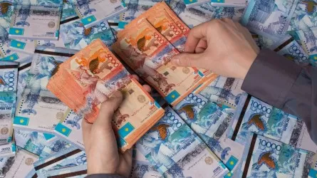 Құзырлы органның назарына тағы бір танымал блогер ілікті
