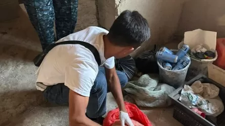 Крупную партию марихуаны изъяли у жителя Алматинской области 