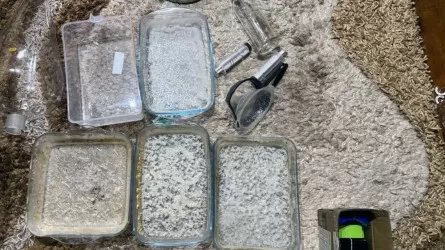 Қазақстанда нашақорлыққа қарсы күрестің жаңа жоспары әзірленеді