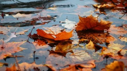 Бүгін ел аумағында найзағай ойнап, жаңбыр жауады