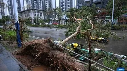 Қытайда 1,89 млн адам тайфуннан қауіпсіз жерге көшірілді