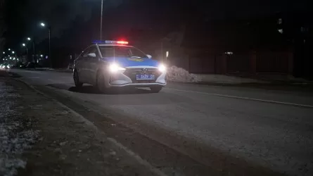 Семейде мас жүргізушіні тоқтату үшін оқ атуға тура келді
