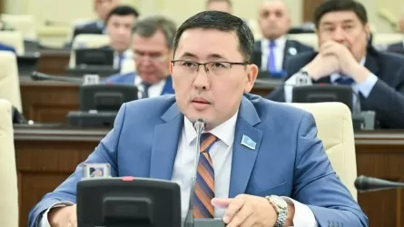«Өлсең де төлейсің»: Депутат өзін банкрот деп жариялағысы келетін адамдардың мәселесін жеткізді