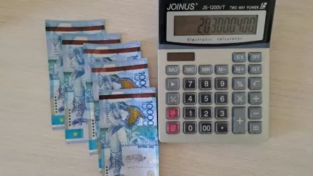 Түркістан облысында атаулы әлеуметтік көмекті 86 отбасы заңсыз алған 