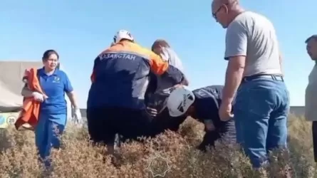 Подросток на лошади упал в пятиметровую яму в Шымкенте