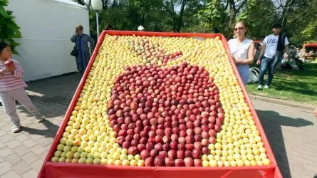 Alma Fest: Алматыда қала күніне орай 100 тонна алма жеткізіледі
