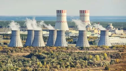 Абай облысында АЭС салынып, Курчатовта ғылыми қалашық бой көтеруі мүмкін