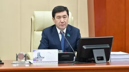 Депутаттарға тағы бір жауапкершілігі жоғары міндет жүктелді