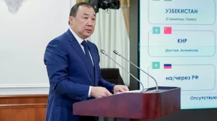 Экспорт казахстанского зерна вырос на 45% за маркетинговый год 