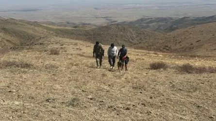 Целую ночь искали молодого мужчину в горах Жамбылской области 