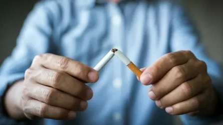 Темекі 16 түрлі қатерлі ісік тудыруы мүмкін